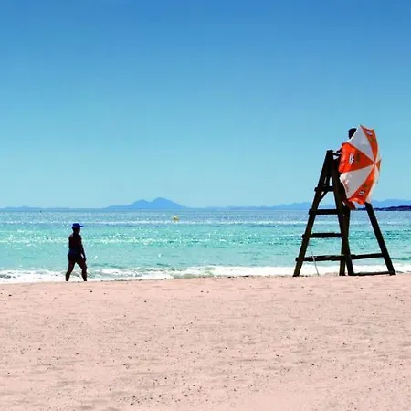 Appartamento Homely Alcatri *